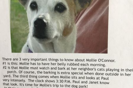 Mollie.jpg